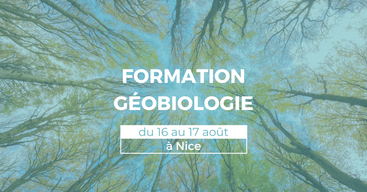 Formation en géobiologie du 16 au 17 août à Nice